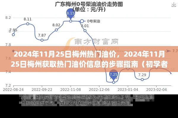 2024年11月25日梅州热门油价获取指南，初学者与进阶用户均适用的步骤指南