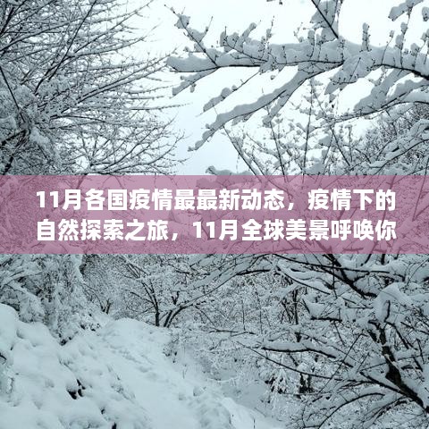 11月全球疫情动态与自然探索之旅，美景呼唤远离尘嚣，寻找内心平静