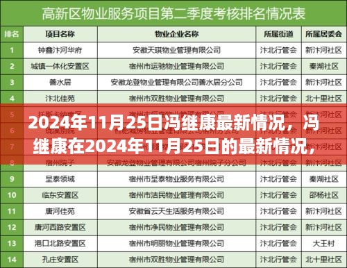 冯继康最新动态，深度分析与个人观点（2024年11月25日）