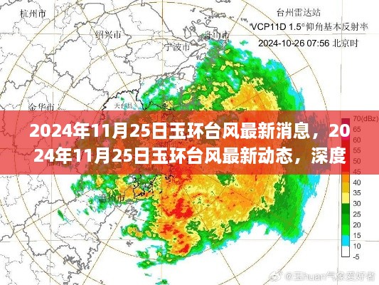 玉环台风最新动态深度解析与应对建议（2024年11月25日最新消息）