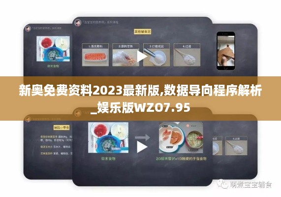 新奥免费资料2023最新版,数据导向程序解析_娱乐版WZO7.95