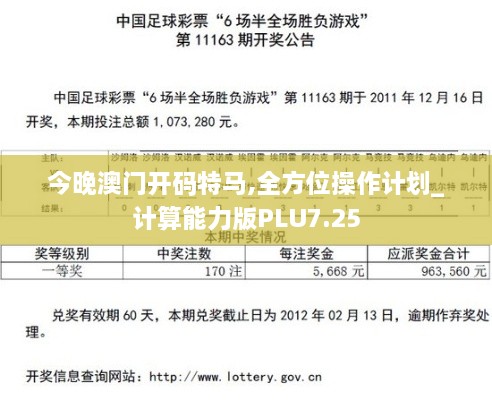 今晚澳门开码特马,全方位操作计划_计算能力版PLU7.25