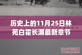 历史上的11月25日，林苑深处的白霍长渊寻静之旅