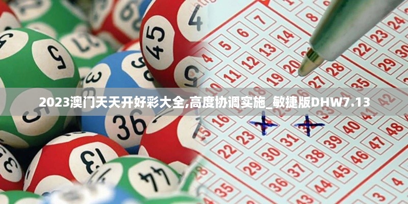 2023澳门天天开好彩大全,高度协调实施_敏捷版DHW7.13