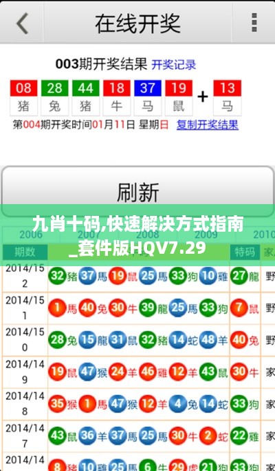 九肖十码,快速解决方式指南_套件版HQV7.29