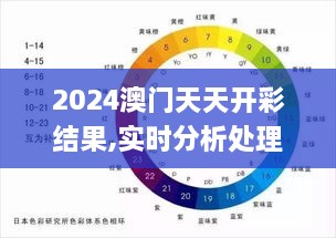 2024澳门天天开彩结果,实时分析处理_极速版NTH7.79