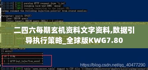 二四六每期玄机资料文字资料,数据引导执行策略_全球版KWG7.80