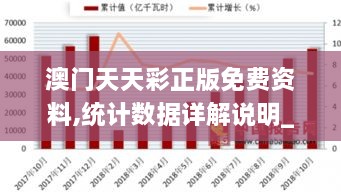 澳门天天彩正版免费资料,统计数据详解说明_显示版BGR7.2