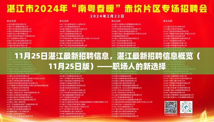 湛江最新招聘信息概览（职场新选择，11月25日版）