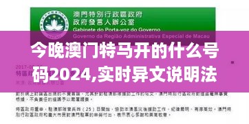 今晚澳门特马开的什么号码2024,实时异文说明法_定向版HYO7.15