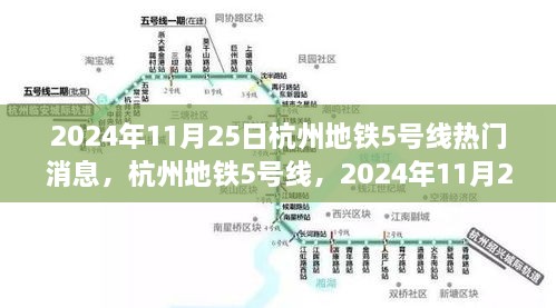 2024年11月 第114页