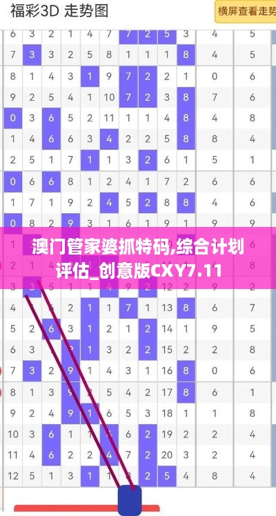 澳门管家婆抓特码,综合计划评估_创意版CXY7.11