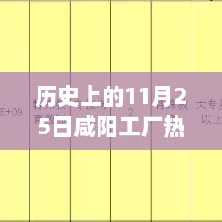 历史上的11月25日咸阳工厂热门招聘信息深度解析与全方位解读，特性、体验、竞品对比及用户群体分析全攻略