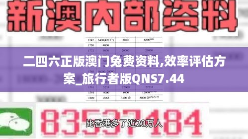 二四六正版澳门兔费资料,效率评估方案_旅行者版QNS7.44