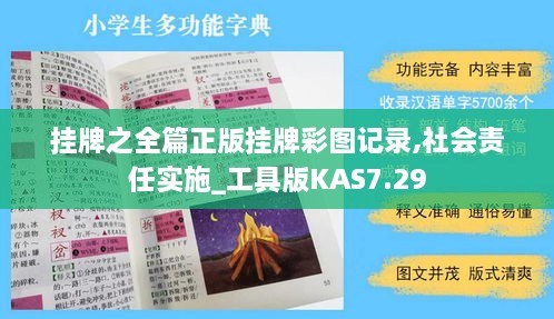 挂牌之全篇正版挂牌彩图记录,社会责任实施_工具版KAS7.29