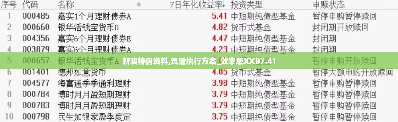 新澳特码资料,灵活执行方案_效率版XXB7.41