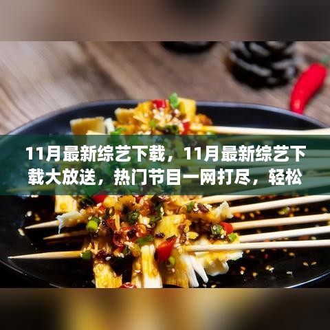 11月最新综艺下载，11月最新综艺下载大放送，热门节目一网打尽，轻松观看无限回味的精彩瞬间