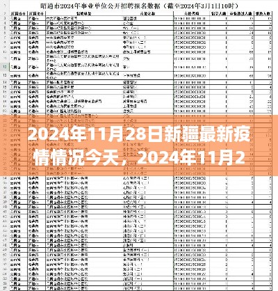 2024年11月28日新疆最新疫情情况报告，今日最新动态