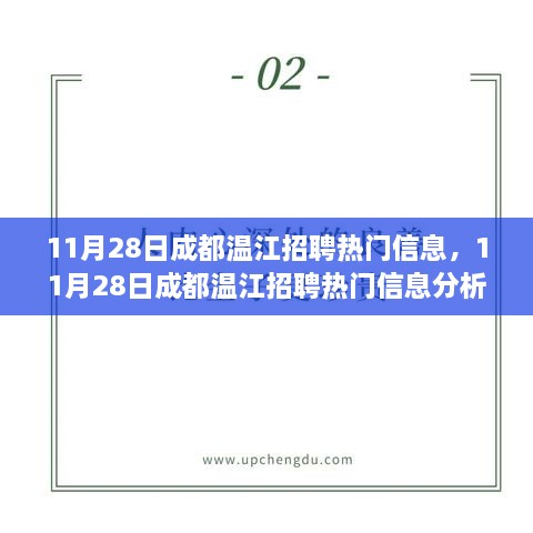 11月28日成都温江招聘热门信息解析，人才需求与个人发展机会探究