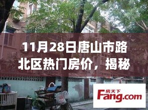 唐山路北区11月热门房价揭秘，小巷特色小店与独特风景探寻之旅