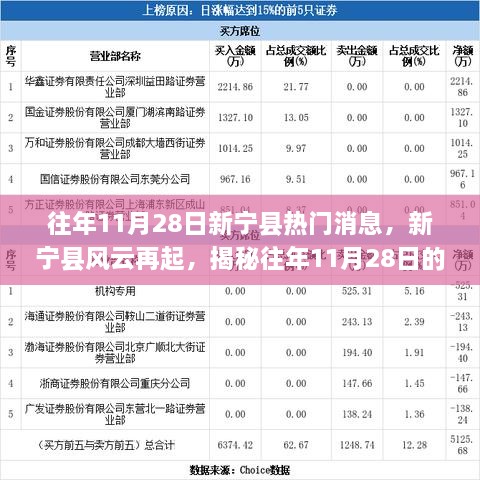 揭秘新宁县往年11月28日的热门焦点事件回顾，风云再起之时