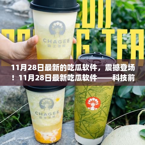 11月28日最新吃瓜软件，重新定义娱乐生活的科技盛宴