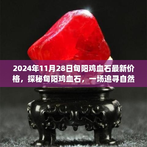 探秘旬阳鸡血石，最新价格与追寻自然美景之旅的完美结合（2024年11月28日）