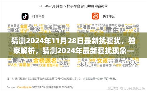 独家解析，深度体验与全面对比——2024年11月28日最新骚扰现象猜测与对比分析