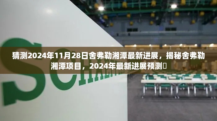 揭秘舍弗勒湘潭项目最新进展，预测舍弗勒湘潭项目在2024年11月的发展动态✨