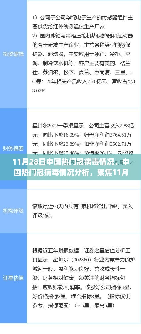 11月28日中国热门冠状病毒情况深度分析与观点探讨