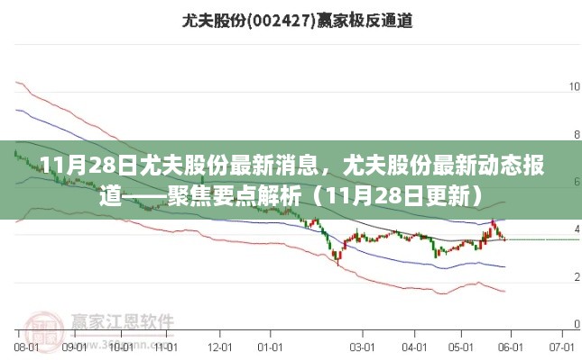 尤夫股份最新动态报道聚焦解析（11月28日更新）