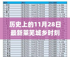 2024年11月 第26页