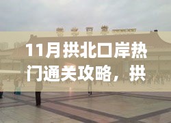 2024年11月 第18页