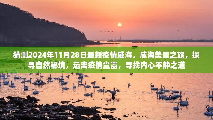 威海美景之旅，探寻自然秘境，远离疫情尘嚣，预测未来疫情威海动态（2024年11月28日）