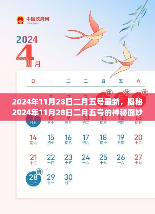 2024年11月28日二月五号最新，揭秘2024年11月28日二月五号的神秘面纱，一场时空交汇的奇遇