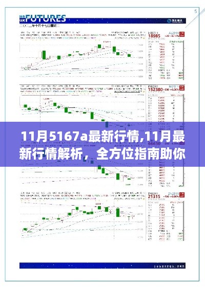 全方位解析，11月5167a最新行情动态与操作策略指南（初学者与进阶用户必读）