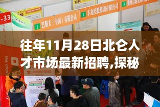 探秘北仑人才市场，小巷中的招聘奇遇，揭秘最新招聘动态（11月28日）