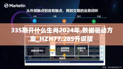 335期开什么生肖2024年,数据驱动方案_HZH77.285升级版