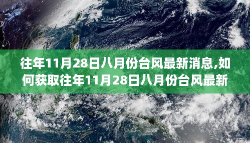 获取往年台风最新消息，一步步指南，聚焦八月份台风动态（以往年为例）