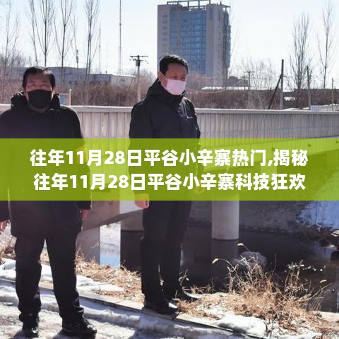 揭秘平谷小辛寨科技狂欢日，高科技产品惊艳亮相，智能生活体验前所未有！