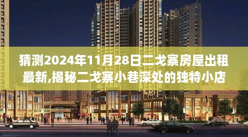 揭秘二戈寨小巷深处的独特小店与房屋出租新风尚（预测至2024年11月）