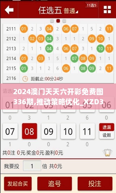 2024澳门天天六开彩免费图336期,推动策略优化_XZD34.842神秘版