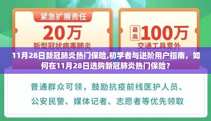 11月28日新冠肺炎热门保险指南，初学者与进阶用户如何选购保险？