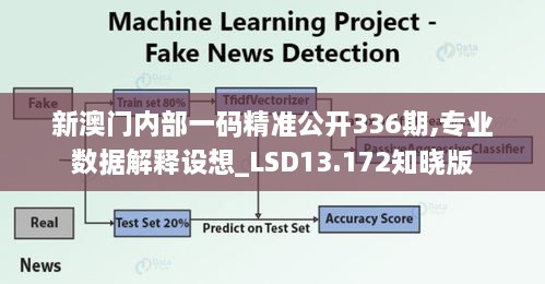 新澳门内部一码精准公开336期,专业数据解释设想_LSD13.172知晓版