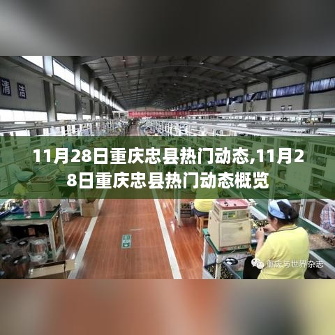 11月28日重庆忠县热门动态概览，当日资讯一览无余