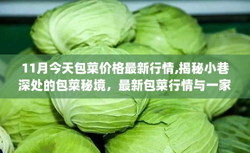 揭秘小巷深处的包菜秘境，最新行情与特色小店的独特魅力