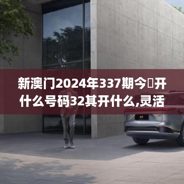 新澳门2024年337期今睌开什么号码32其开什么,灵活实施计划_尊贵版35.492-4