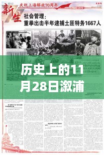 历史上的11月28日