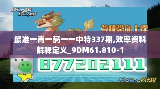 最准一肖一码一一中特337期,效率资料解释定义_9DM61.810-1