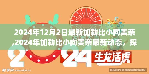 加勒比小向美奈，揭秘未知魅力之旅的最新动态（2024年12月）